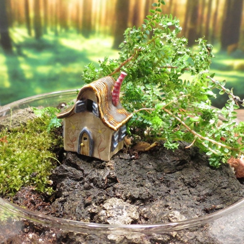 Terrarium Fairy House